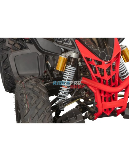 Quad 250 raptor
