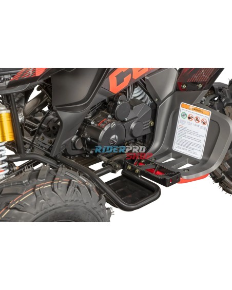 Quad 250 raptor