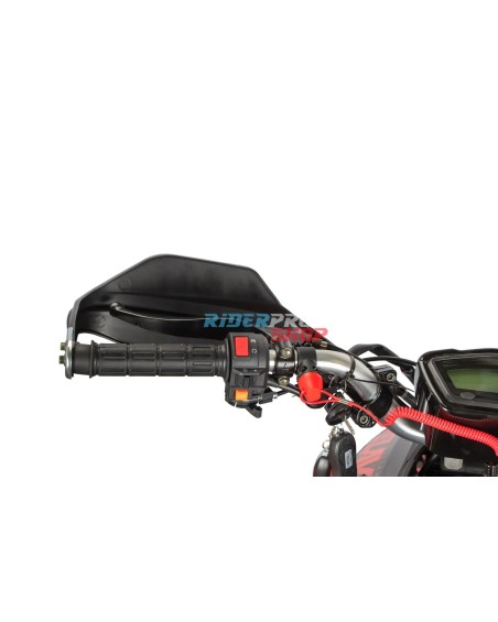 Quad 250 raptor