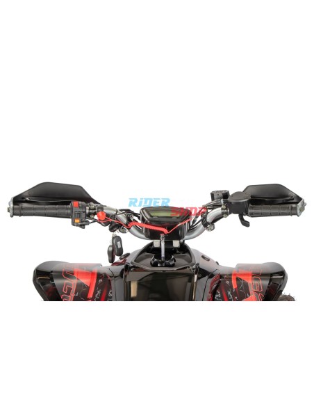 Quad 250 raptor