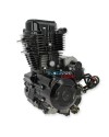 motor de dirt bike Zongshen 200cc ZF163FML-L