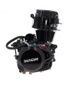 Motor 250cc voor quad Shineray STXE 167FMM