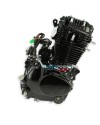 Moteur Dirt Bike 250cc Premium | Performance et Fiabilité
