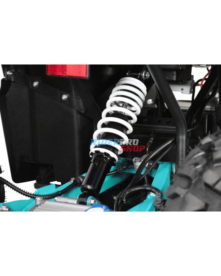 Dustrider 1,5kW 8" 60V Goedgekeurd voor Weggebruik