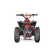 Quad dla młodzieży 125cc Premium Avenger RG6-A PRM - RiderProShop
