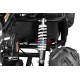 Buggy Enfant Premium 212cc Forest PRM - Sécurité et Plaisir - RiderProShop