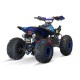 Quad pre teenagerov 125cc Premium Bezpečnosť a radosť - RiderProShop