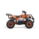 Elektryczny Quad Premium Torino Sport 6" - Bezpieczeństwo i Przyjemność - RiderProShop