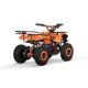 Prémiový elektrický quad Torino Sport 6" - Bezpečnosť a zábava - RiderProShop