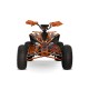 ATV Premium pentru Adolescenți 1000W 48V : Siguranță și Performanță - RiderProShop