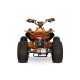 ATV Premium pentru Adolescenți 1000W 48V : Siguranță și Performanță - RiderProShop