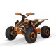 ATV Premium pentru Adolescenți 1000W 48V : Siguranță și Performanță - RiderProShop