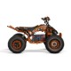 ATV Premium pentru Adolescenți 1000W 48V : Siguranță și Performanță - RiderProShop