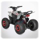 ATV Electric Copii 13 ani - TYPHON 1800W ⚡ | XtremRS