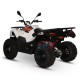 Štvorkolka 300 ccm homologovaná pre poľnohospodárstvo KAYO AU300 | XtremRS 🚜⚡