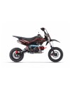 Storm V3 BRX 110cc 12/10 - Dirt 110cc
