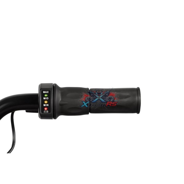 Mini Moto Eléctrica Niños 300W 24V Eco Flee | XtremRS