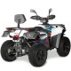 ATV electric omologat rutier MP4 2 locuri adult