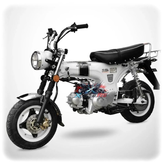 Moto Dax 50cc homologuée route - Skyteam 49,6cc 4T