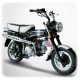 Moto Dax 50cc homologuée route - Skyteam 49,6cc 4T