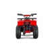 Mini Quad Elektrisch 1200W 23 km/u 6-12 jaar XtremRS