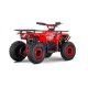 Mini Quad Électrique 1200W 23km/h 6-12 ans XtremRS