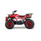 Mini Quad Elektrisch 1200W 23 km/u 6-12 jaar XtremRS
