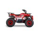 Mini Quad Elektrisch 1200W 23 km/u 6-12 jaar XtremRS