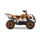 Elektrisches Kinderquad 48V Torino 1200W