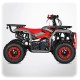 Pocket Quad 49cc voor kinderen 3-10 jaar | 2,5 kW LANDER