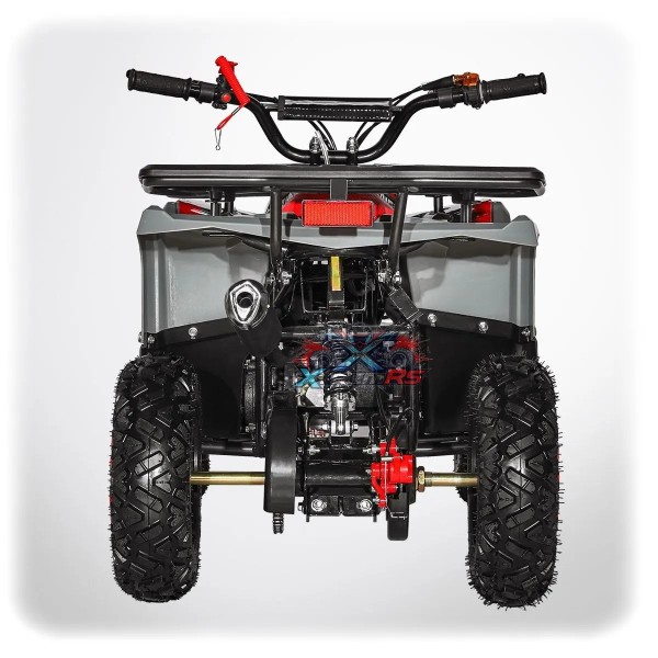 Pocket Quad Enfant 49cc 2,5 kW 3-5 ans LANDER