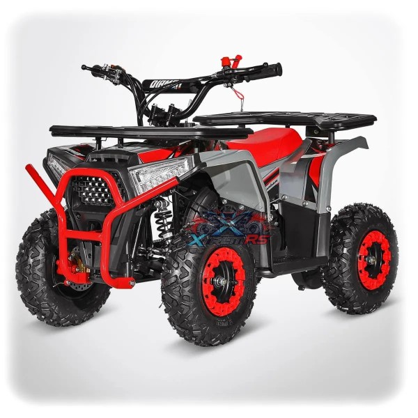Pocket Quad Enfant 49cc 2,5 kW 3-5 ans LANDER