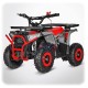 Pocket Quad Enfant 49cc 2,5 kW 3-5 ans LANDER