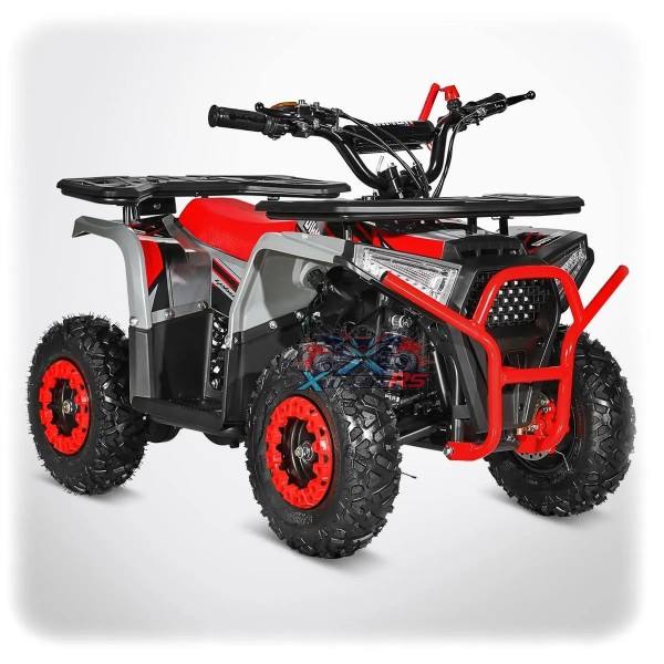 Pocket Quad Enfant 49cc 2,5 kW 3-5 ans LANDER