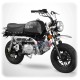 Moto 125cc road-legal 7.9CV SKYTEAM GORILLA XtremRS