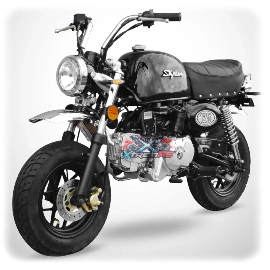 Moto 125cc homologuée route 7,9 CV SKYTEAM GORILLA