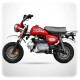 Moto 50cc homologuée route 45 km/h SKYTEAM MONKEY XtremRS
