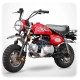 50cc road-legal dirt bike 45 km/h SKYTEAM MONKEY XtremRS
