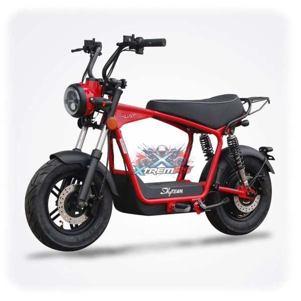 Moto électrique homologuée 1200W 45 km/h adulte - SKYTEAM