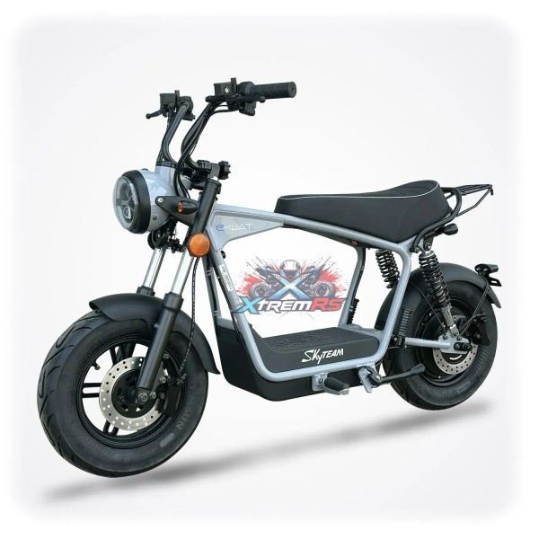Moto électrique Homologuée DAX SKYTEAM