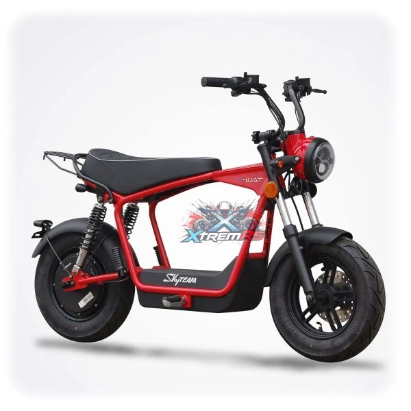 Moto électrique homologuée route 1200W 45km/h - SKYTEAM