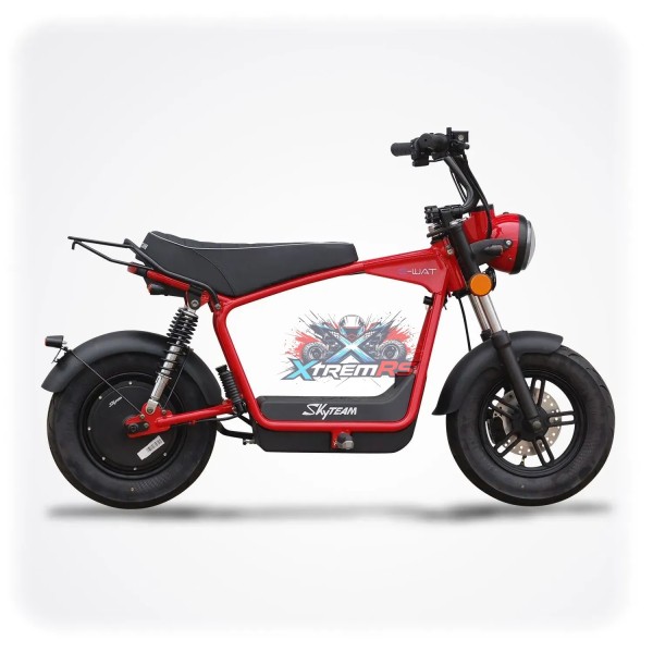 Moto électrique homologuée route 1200W 45km/h - SKYTEAM