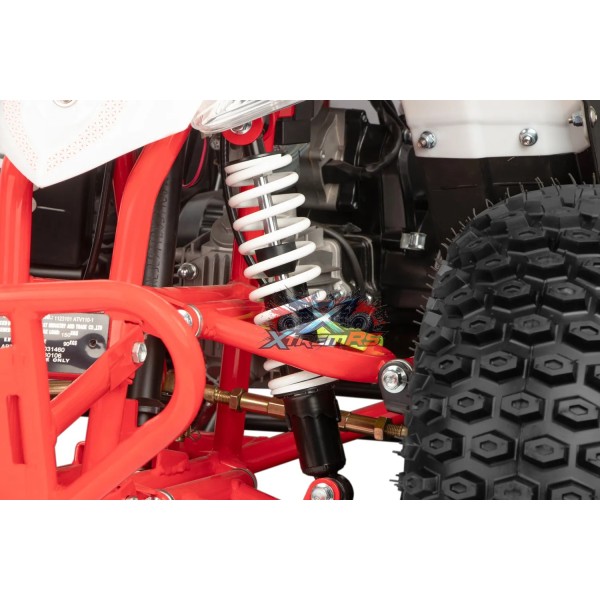 Mini Quad für Kinder mit 110ccm