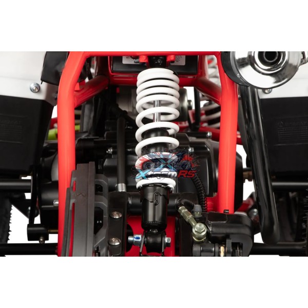Mini Quad für Kinder mit 110ccm