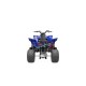 Quad Yamaha Raptor 700 YFM700R SE 686 cm³