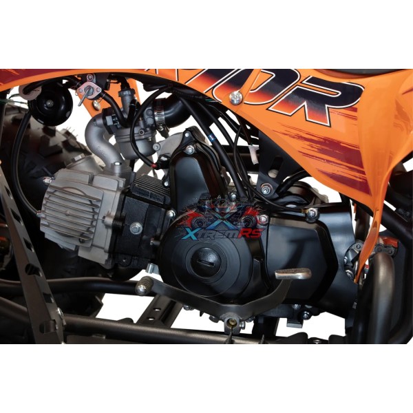 Quad Ado 125cc Warrior GS S8-A Sport XtremRS