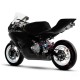 Πέτσικ Μότο 220cc MIR Racing - Μοτολίγκα 220