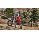 Honda CRF450R Moto Cross