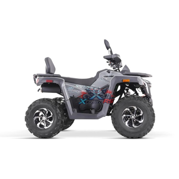 Quad 200 ccm Quablo 220 VX CVT Platin
