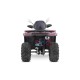 Quad 200 ccm Quablo 220 VX CVT Platin